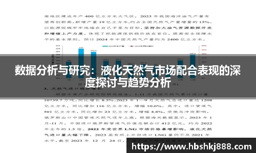 数据分析与研究：液化天然气市场配合表现的深度探讨与趋势分析
